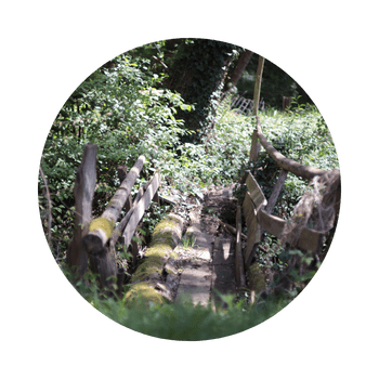 Mit wildem Grün verwucherte Holzbrücke